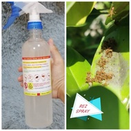 💥Spray Pemusnah Anai-anai by REZ SPRAY💥