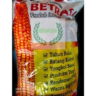 Benih jagung betras 1 / betras 9 kemasan 5kg / BENIH JAGUNG HIBRIDA