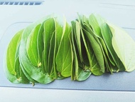 Gawed, Betel Leaves, Ikmo, For Moma Or Nganga