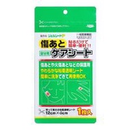 凝膠貼片P 1片（局部用（12cm x 6cm））