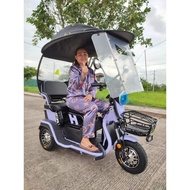 LGE SAIGE ELECTRIC EBIKE 3 wheel