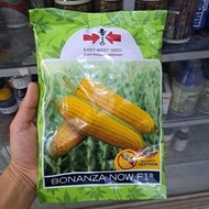 HOT SALE !! Benih Jagung Manis Bonanza Now F1 1800 Butir Cap Panah Merah