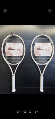 包順豐 Wilson Sakura pink Triumph SE 櫻花網球拍 新手初學入門拍
