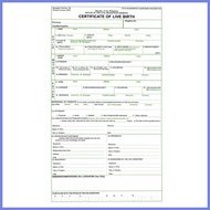 ❥ ❀ 2pcs Birth certificate Cheat sheet paper A4
