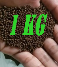 pelet ikan pf 1000 1kg pakan ikan pf1000
