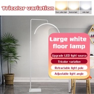 *Fast Shipping* led floor lamp adjustable brightness eye protection half moon light facial lamp tatt