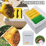 EUCALYTUSMY Beekeeper Garden Pollination Box, Foam Bee Hive Box Beekeeping Equipment Queen Bee Breed