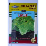 benih sawi pahit lotus isi 50gram balwwa 5019dn