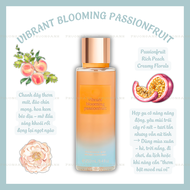 [ VIVID BLOOMS ] Vibrant B Passionfruit | Brilliant C Blossom | Lush O Amber | Bright M Apricot