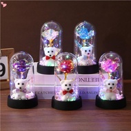 Forever Rose for Women Mom Wife,Mother's Day Forever Rose Gift Ideas,Galaxy Rose Flower Light Up in 