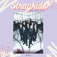 Straykids Dominate Tour Poster