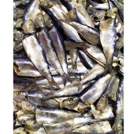 (500Gram) Ikan Kering Tamban Original Tanjung Dawai