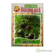 Sriti Eggplant Asia Star Seeds – 10 grams