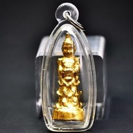 古巴api哇2568蘇拉薩蒂(紅藥)