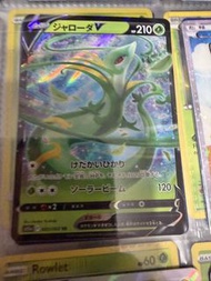 PTCG 寶可夢 日文 君主蛇V  POKEMON TRADING CARD GAME