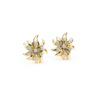 Brilliant Diamond Interlaced Inlaid Earrings