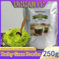 Barley grass official store Organic Barley Grass Powder original 250g Fibers, Minerals, Antioxidants and Protein