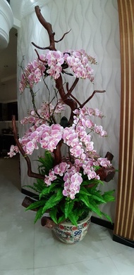 Dekorasi Ruangan Pohon Tanaman Hias Bunga Anggrek Pohon Bonsai - 02
