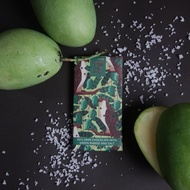 Theo and Philo 65% Dark Chocolate w/ Green Mango & Salt