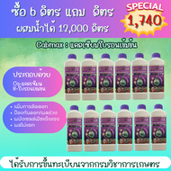 ชุด 6 แถม 6 Cabmax แคลเซียมและโบรอนเข้มข้น