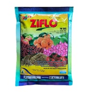 Fungisida Ziflo 76wp 200gr