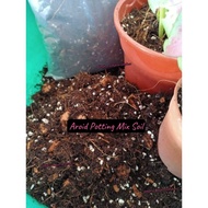 Aroid Potting Mix Soil 6 in 1 Ready to Use Tanah Aroid Sediah Pakai