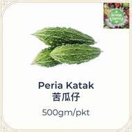 Peria Katak/Peria Kecil/苦瓜仔/小苦瓜/500gm