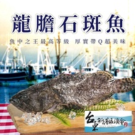 【新港漁會】 龍膽石斑魚-600g-700g尾-包  (2包組)
