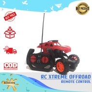 (COD) Mobil Remot RC Offroad XTREME Remote Control Climbing Car - H387