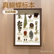 Butterfly Decoration Painting Plant Photo Frame Element Living Room Specimen Butterfly Bedroom ins R