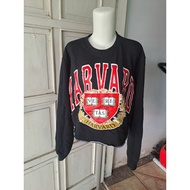 Link co live code 51-100