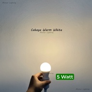 5 watt led bulb with e27 bulb fitting