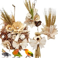 Parrot toy / Bird toy / Bird climbing and chewing toy / Birdcage accessories / Bird beak chew toy / 