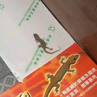 1 Piece of Lizard Adhesive (Large Type) Lizard Killing Glue Gecko Trap Glue Lizard Trap Glue Gecko K