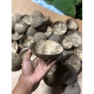 Shell Scrub 50 Pieces Falling Baht
