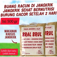 BRAL BRUL pakan khusus burung murai burung Kacer indukan