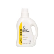 Eco Friendly Liquid Detergent (1L)