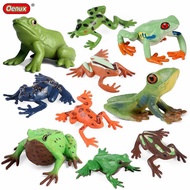Simulation Educational Tropical Rainforest Animal Frog Tree Frog Model Poison Frog Darwin Frog Fish 