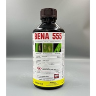 1L Bena 555 / Bena Hijau / Bena Perang / Pianggang / Belalang / Lelompat Daun / Kutu Beruang