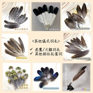 Peacock Feather/Peacock Golden Feather/Peacock Blue Feather/Peacock Flower Feather Natural Falling O