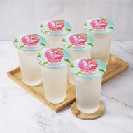 Frozen Fresh Pure Thailand Coconut Water 冷冻新鲜纯泰国椰子水