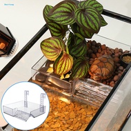 This floating turtle dock measures 165 x 115 x 55 cm / 65 x 45 x 217 inches (L x W x H) the width of