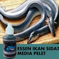 BAYAR DI TEMPAT Essen Ikan Sidat Media Pelet 30ML