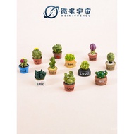 New Mini Cactus Miniature Simulation Succulent Potted Plant Green Plant Micro Landscape Desktop Deco