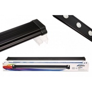 Dophin LED665 light White - pink