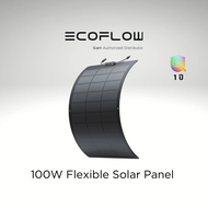 EcoFlow 100W Flexible Solar Panel