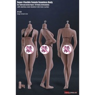 [Premium] Ready Stock TBLeague 1/6 S01A S07C S10D S12D-S33B Steel-Coated Female Body
