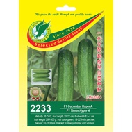 GE 2233 F1 HYBRID CUCUMBER HYPER A / TIMUN HYPER A