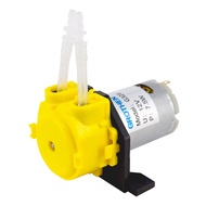 DREAM 35 Size 12V DC Dosing Pump Peristaltic Design 12V/24V Voltage Analytical Water Pump Precision