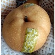 1KG BUAH PEAR SINGO (KOREA)